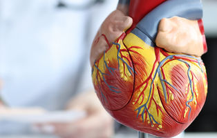Medikamentöse Behandlung der obstruktiven hypertrophen Kardiomyopathie